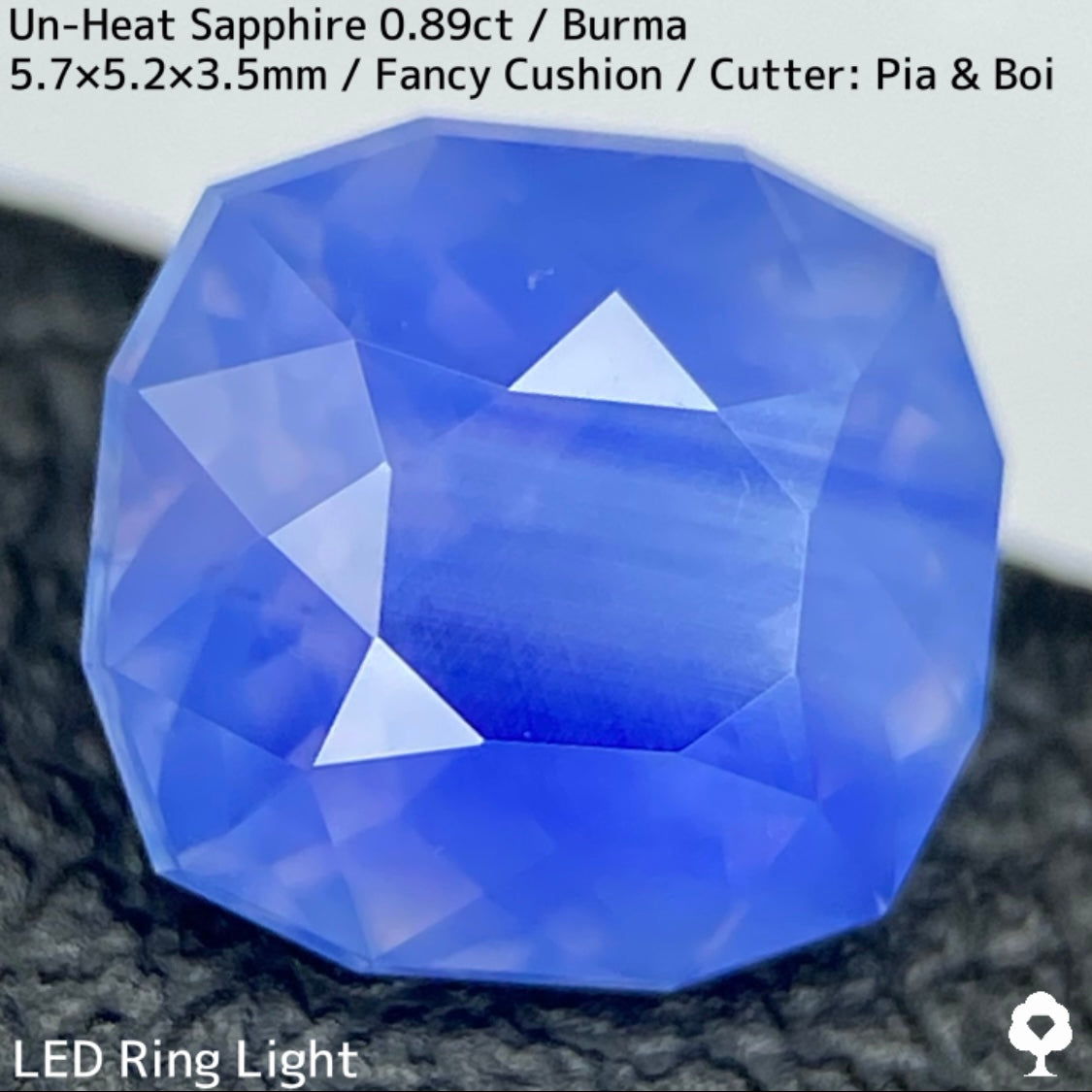 Un-Heat Sapphire 0.896ct / Burma