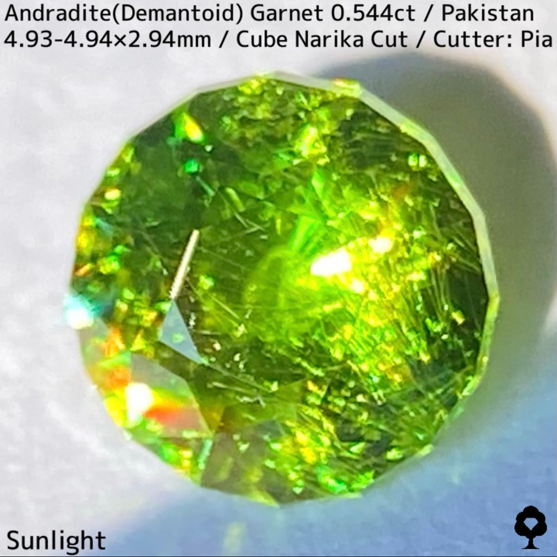 Andradite (Demantoid) 0.544ct / Pakistan / Table cube Narika