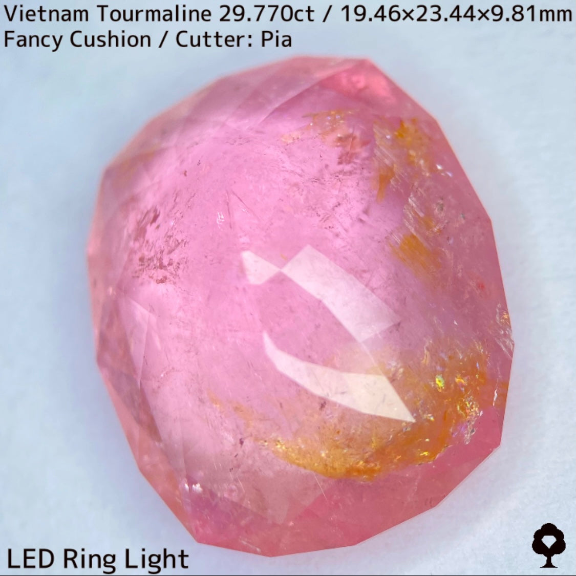 Tourmaline 29.770ct / Vietnam