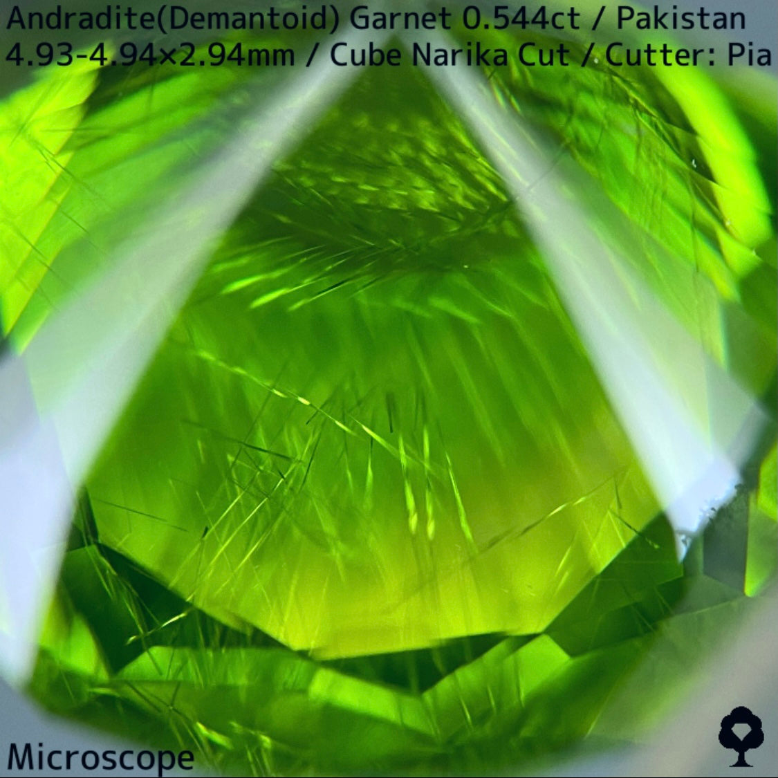 Andradite(Demantoid)0.544ct / Pakistan / Table cube Narika