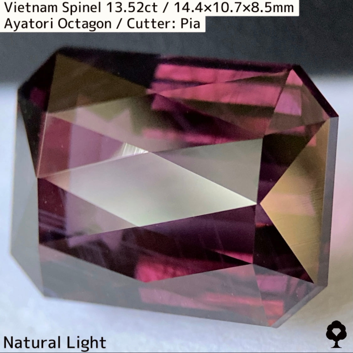 Spinel 13.52ct / Vietnam / Ayatori