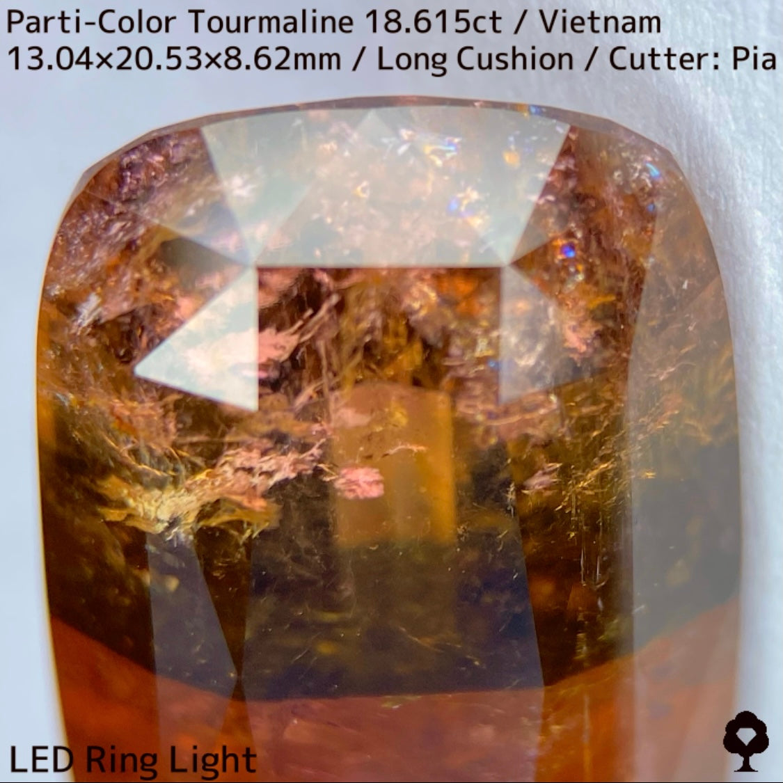 Parti-Color Tourmaline 18.615ct / Vietnam / Long Cushion