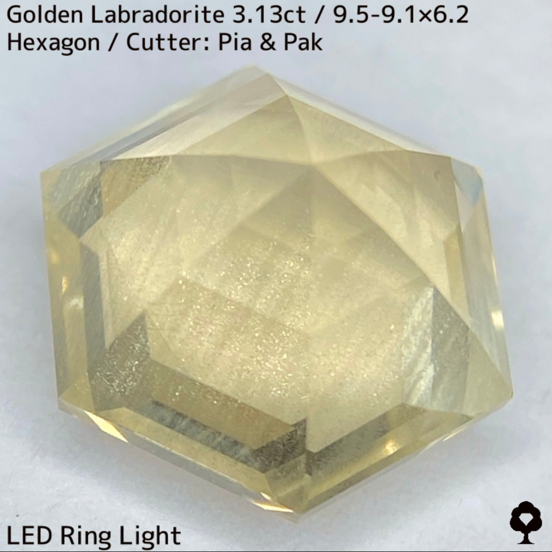 Golden Labradorite 3.13ct★A stone that seems to seal a sparkling sandstorm in a labyrinth★Includes rough stones from the same lot