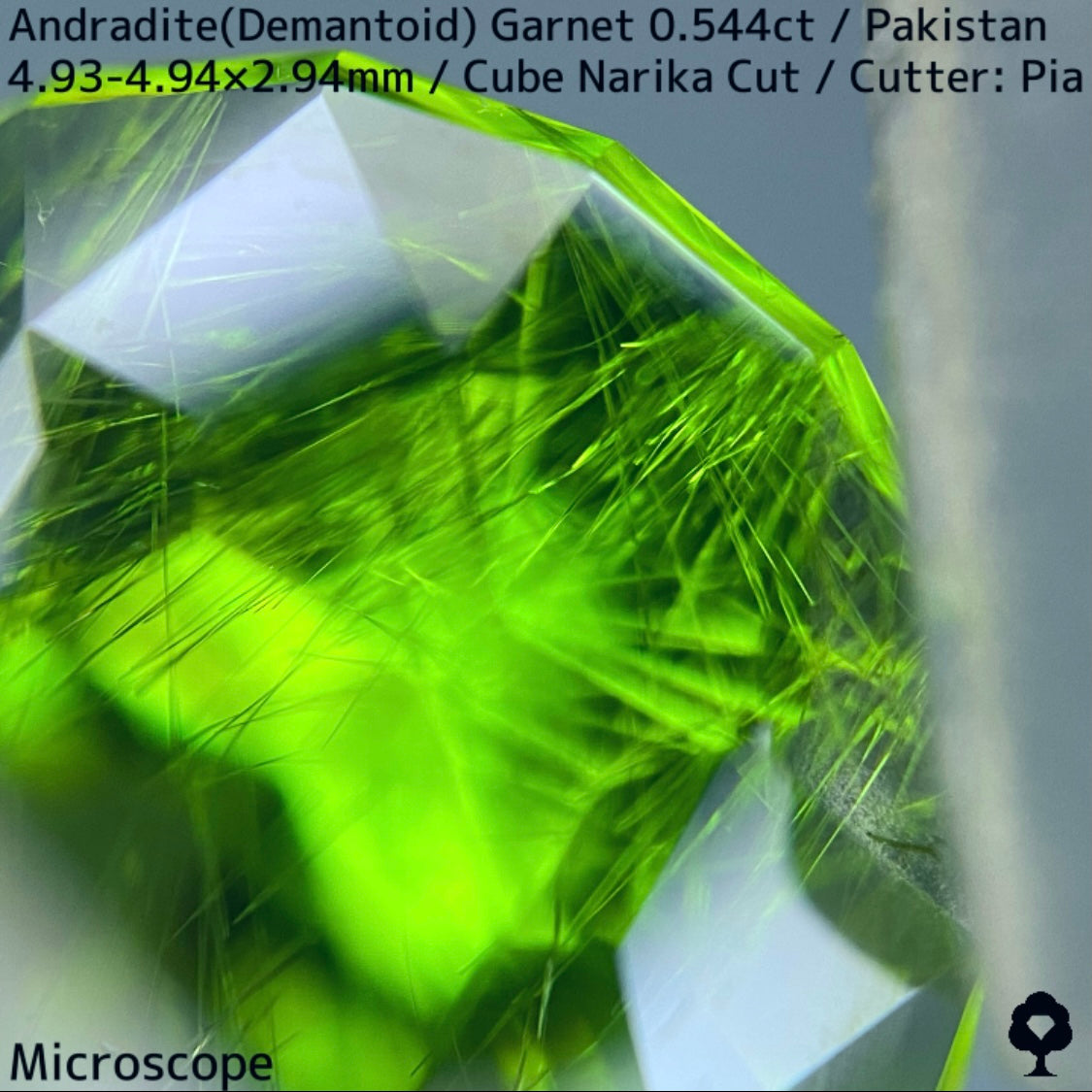 Andradite(Demantoid)0.544ct / Pakistan / Table cube Narika