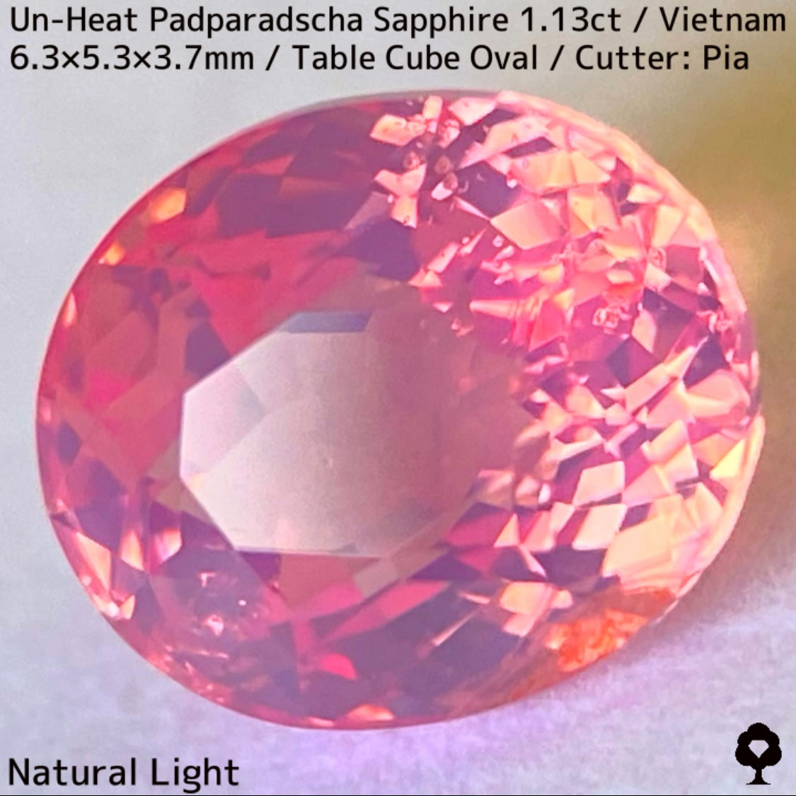 Un-Heat Padparadscha Sapphire 1.136ct / Vietnam