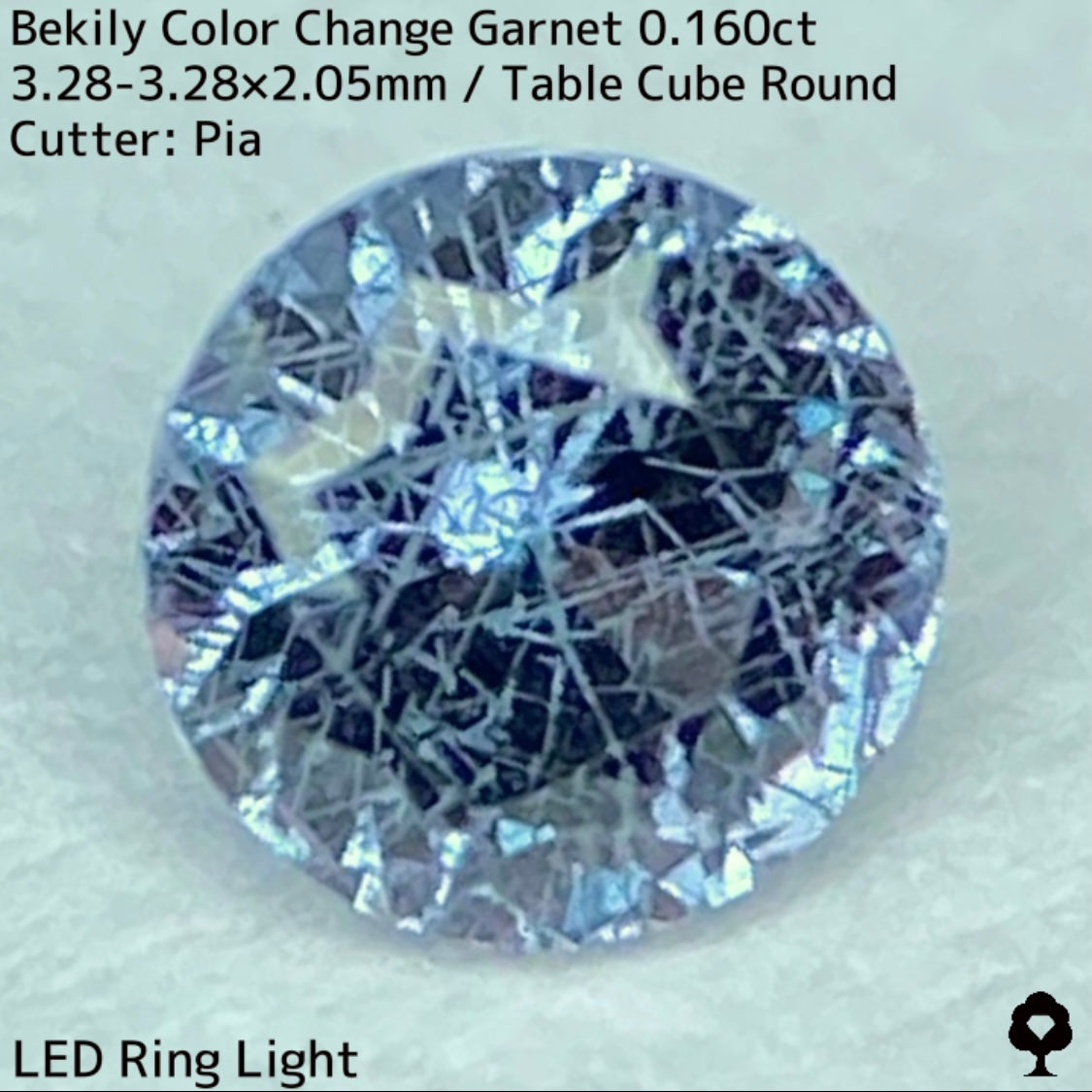 Color Change Garnet 0.160ct / Bekily(Madagascar)