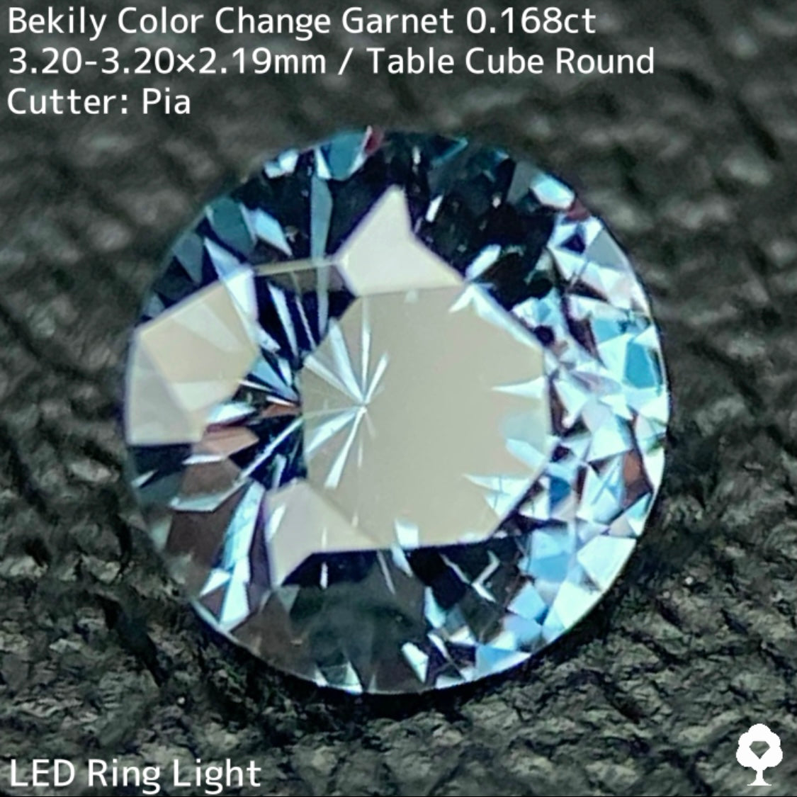 Color Change Garnet 0.168ct / Bekily(Madagascar)