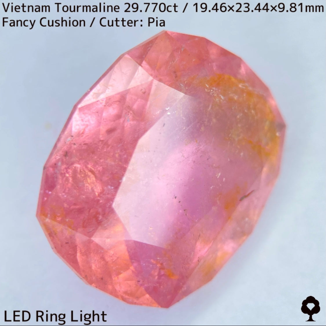 Tourmaline 29.770ct / Vietnam