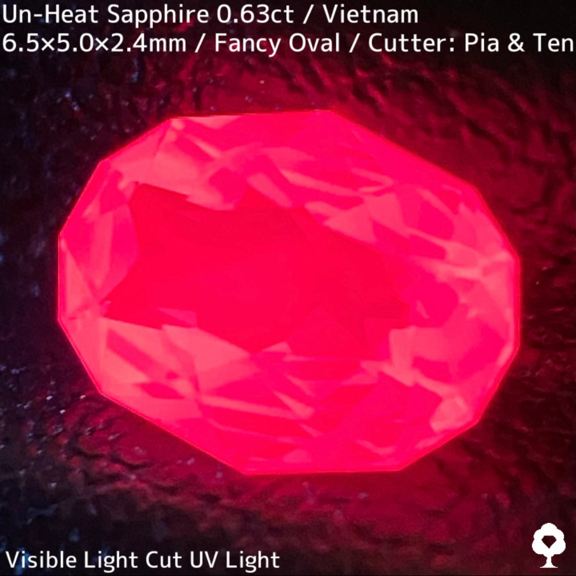 Un-Heat Sapphire 0.63ct / Vietnam