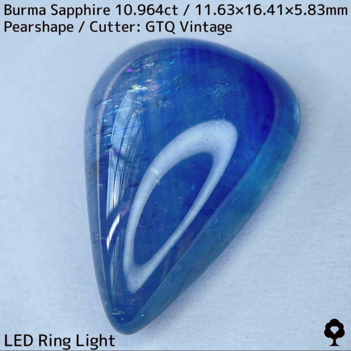Sapphire 10.964ct / Burma / Cabochon