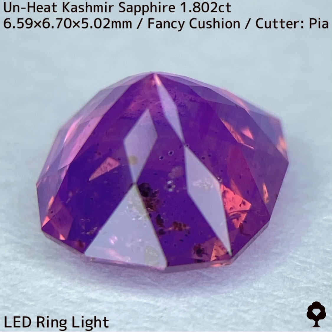 Unheated Kashmir sapphire from Pakistan 1.802ct ★ Enjoy this rare Kashmir masterpiece in a variety of light sources