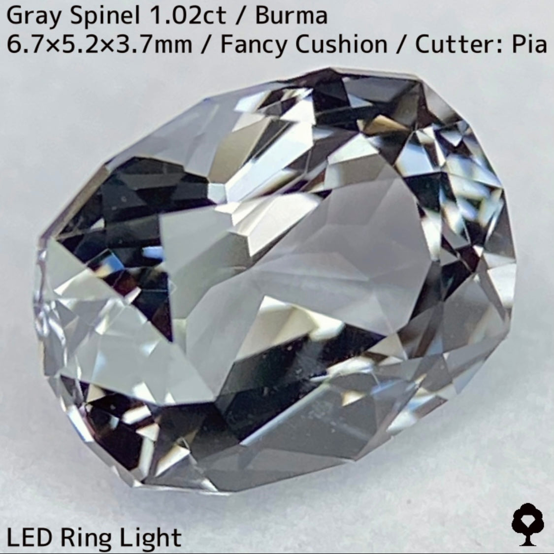 Grey Spinel 1.024ct / Burma