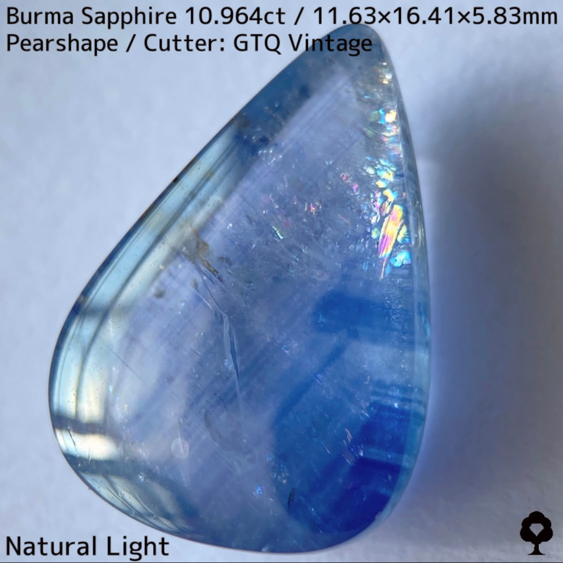 Sapphire 10.964ct / Burma / Cabochon