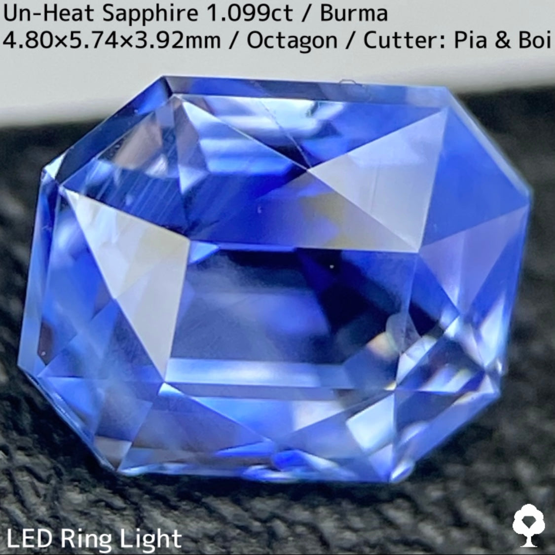 Un-Heat Sapphire 1.099ct / Burma