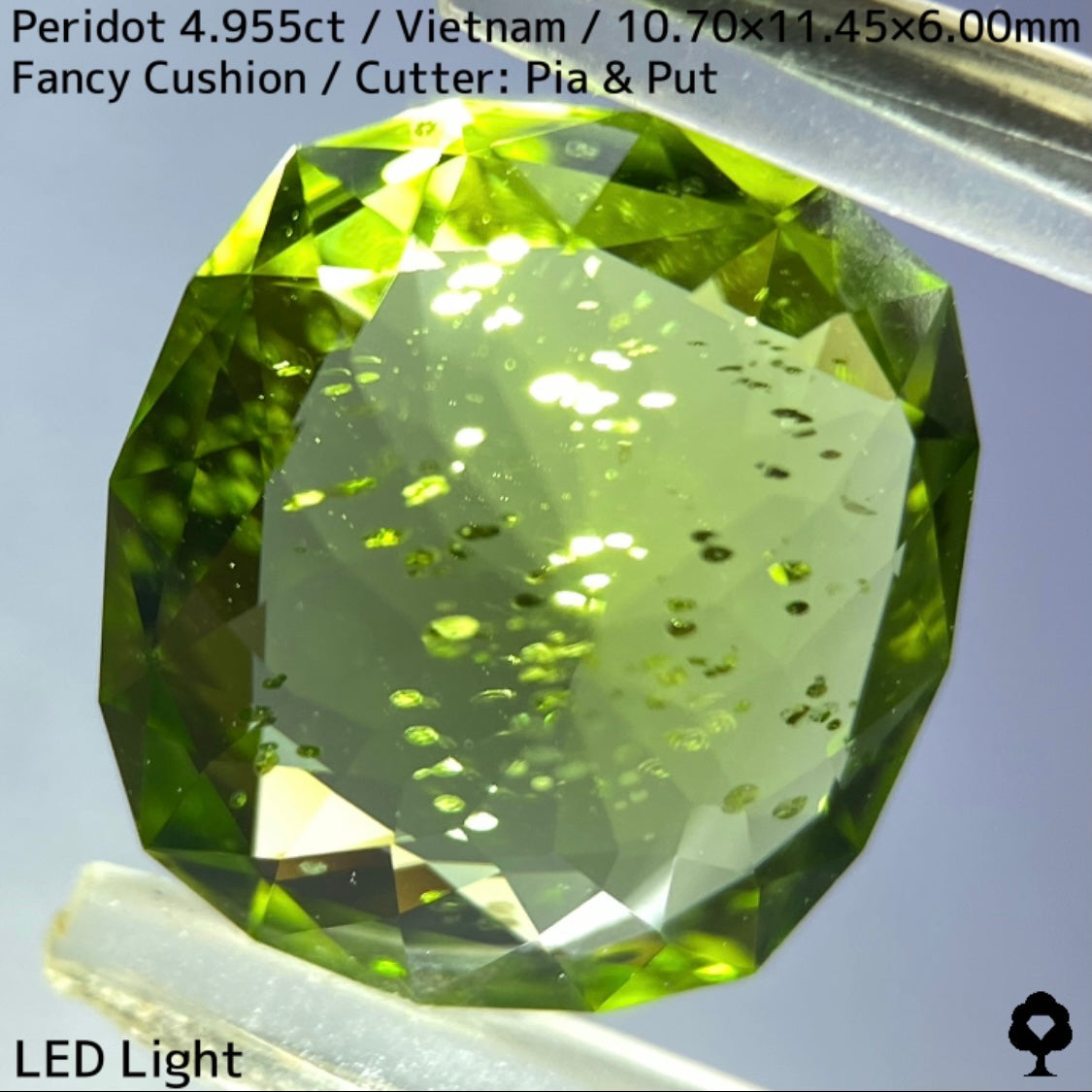 【Recommend Focus】Peridot 4.955ct / Vietnam