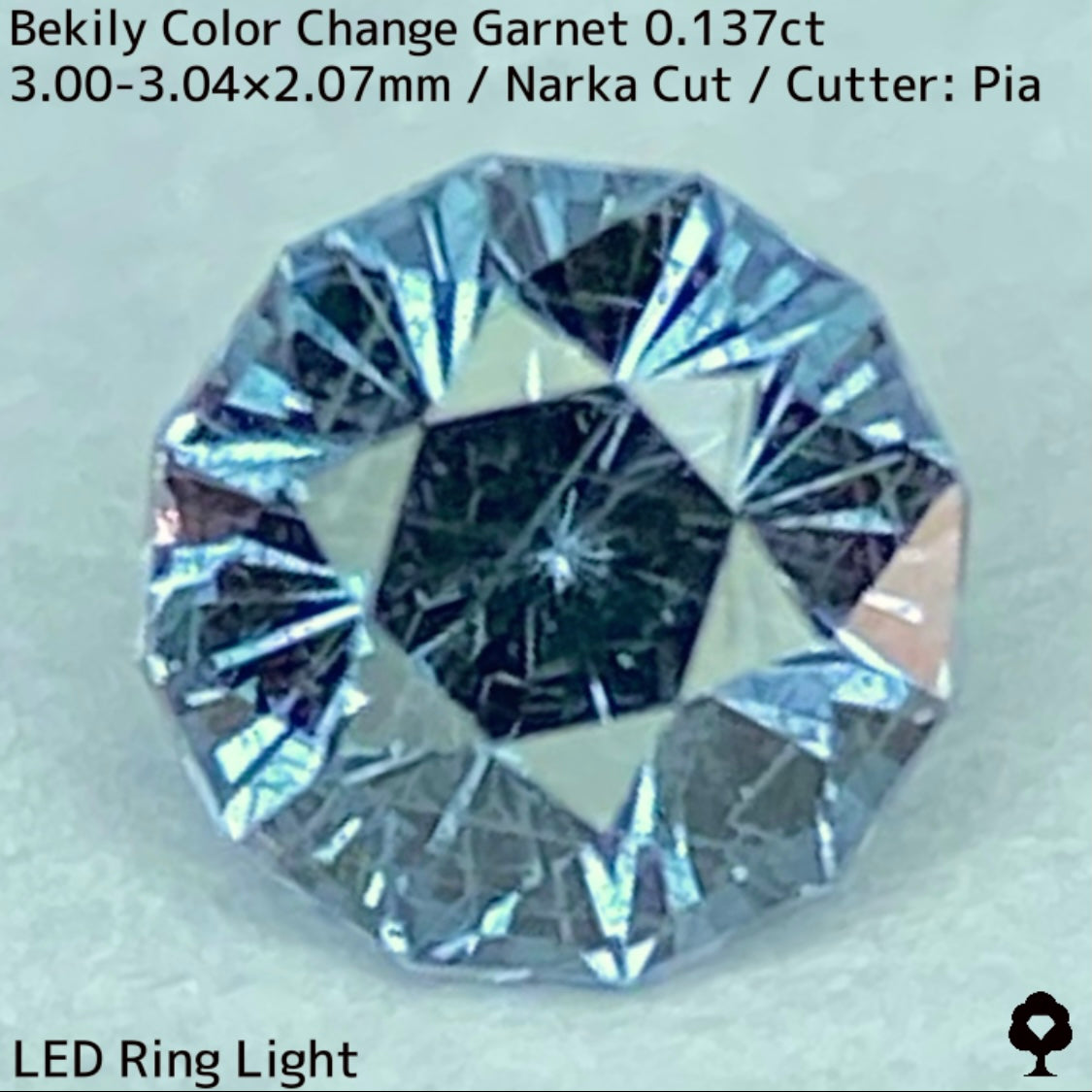 Color Change Garnet 0.137ct / Bekily(Madagascar)