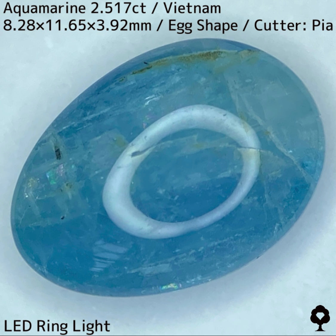 Aquamarine 2.517ct / Vietnam