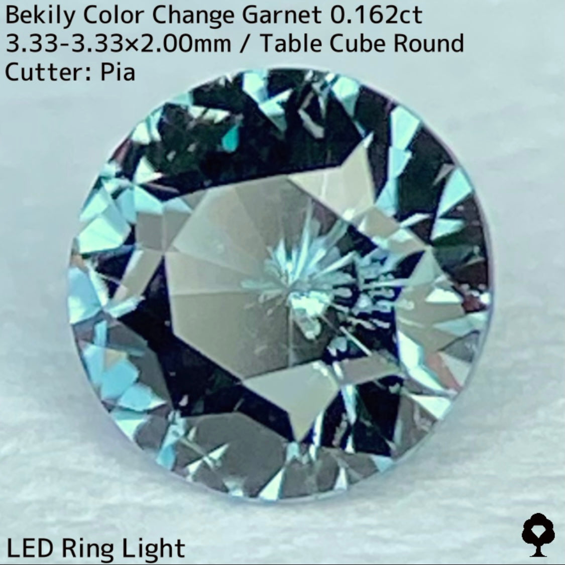 Color Change Garnet 0.162ct / Bekily(Madagascar)