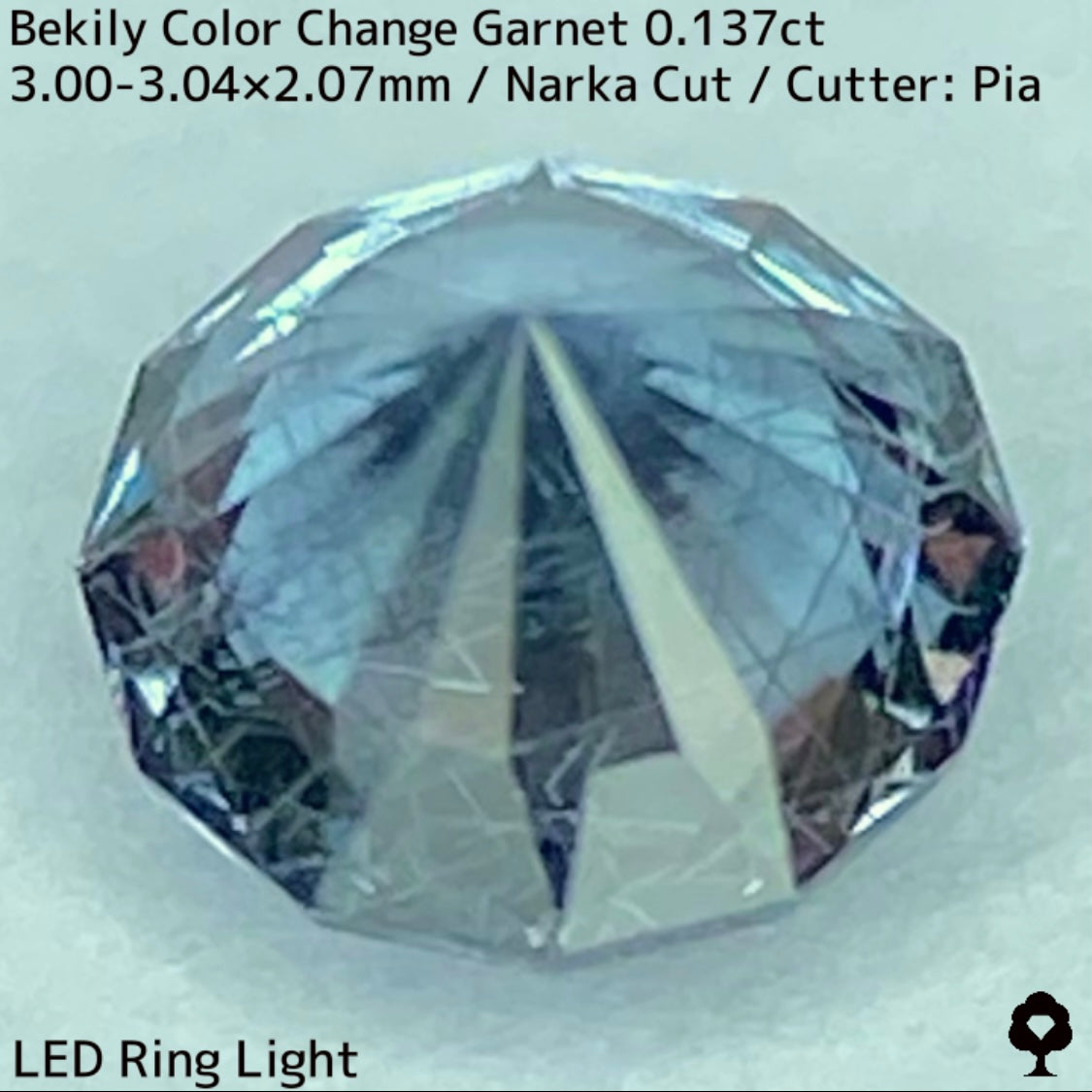 Color Change Garnet 0.137ct / Bekily(Madagascar)