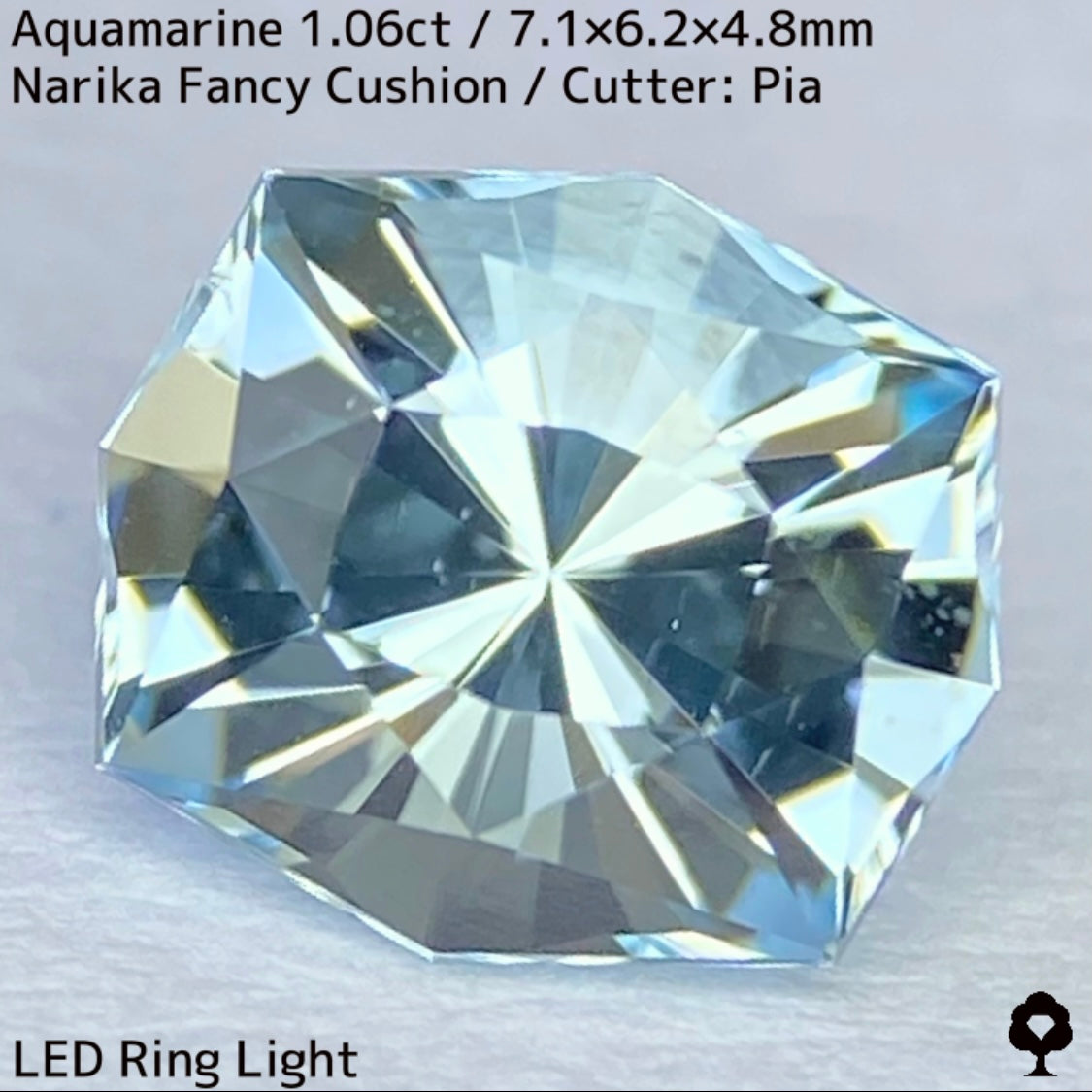 Aquamarine 1.06ct / Madagascar