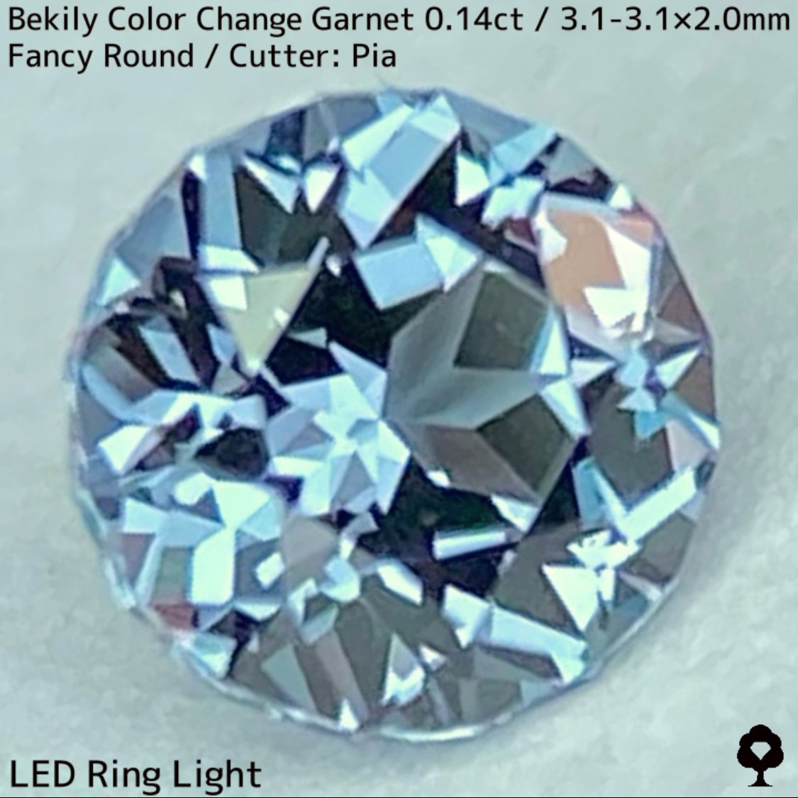 Color Change Garnet 0.14ct / Bekily(Madagascar)