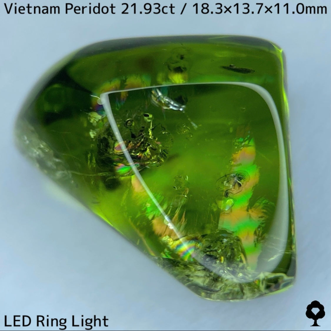 Peridot 21.93ct / Vietnam / Rough stone