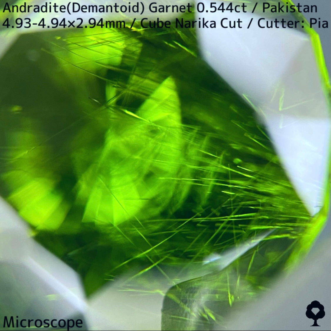Andradite(Demantoid)0.544ct / Pakistan / Table cube Narika