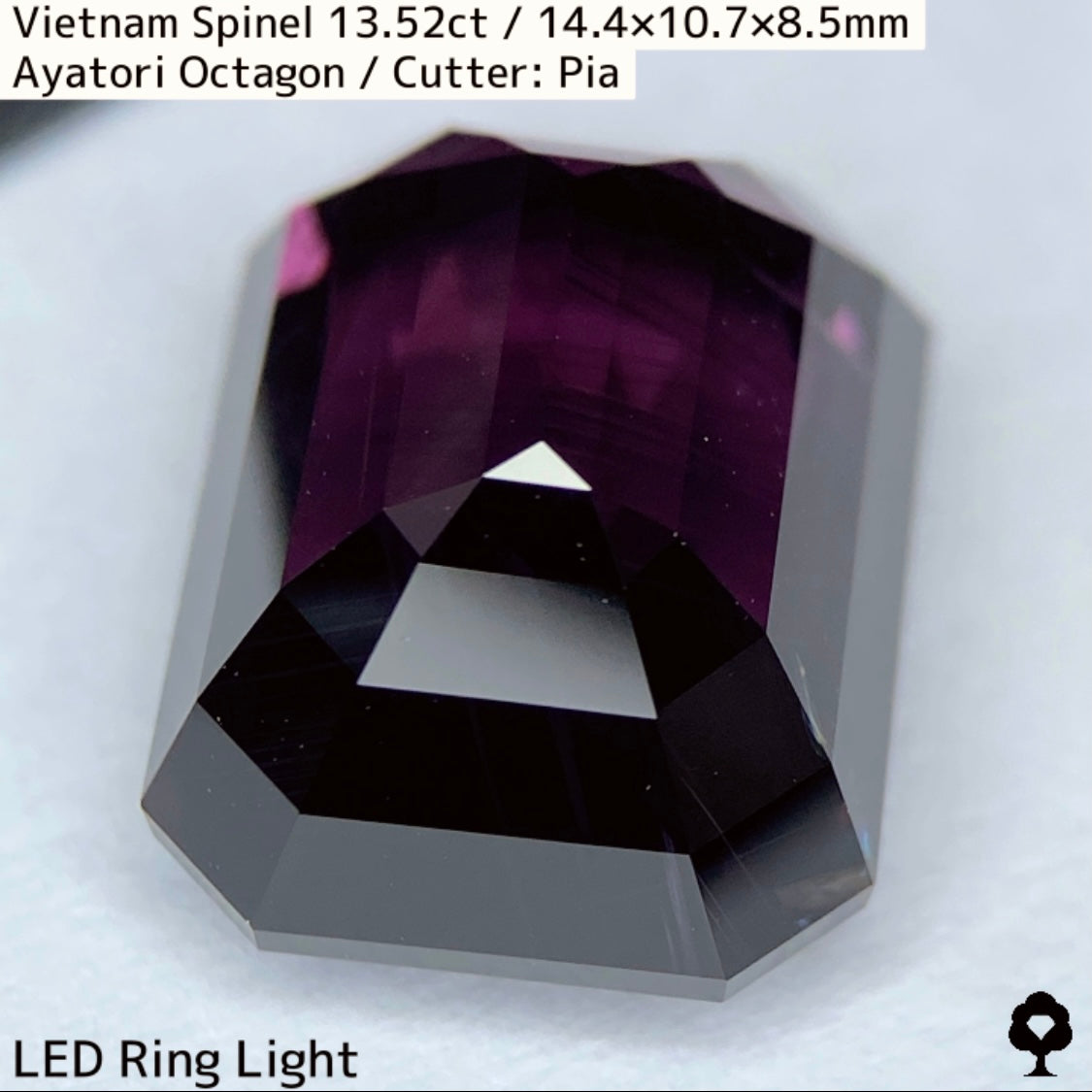 Spinel 13.52ct / Vietnam / Ayatori
