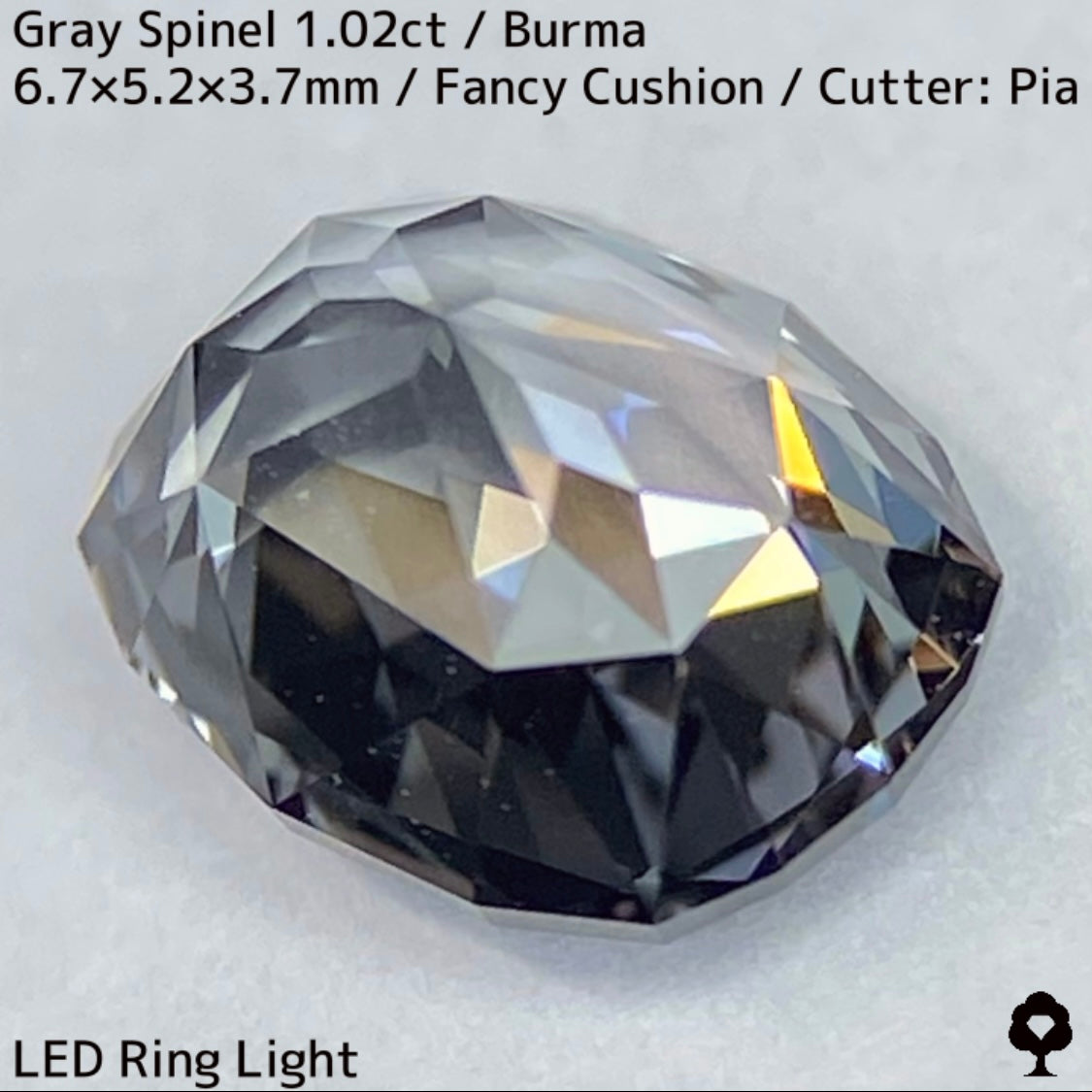 Grey Spinel 1.024ct / Burma