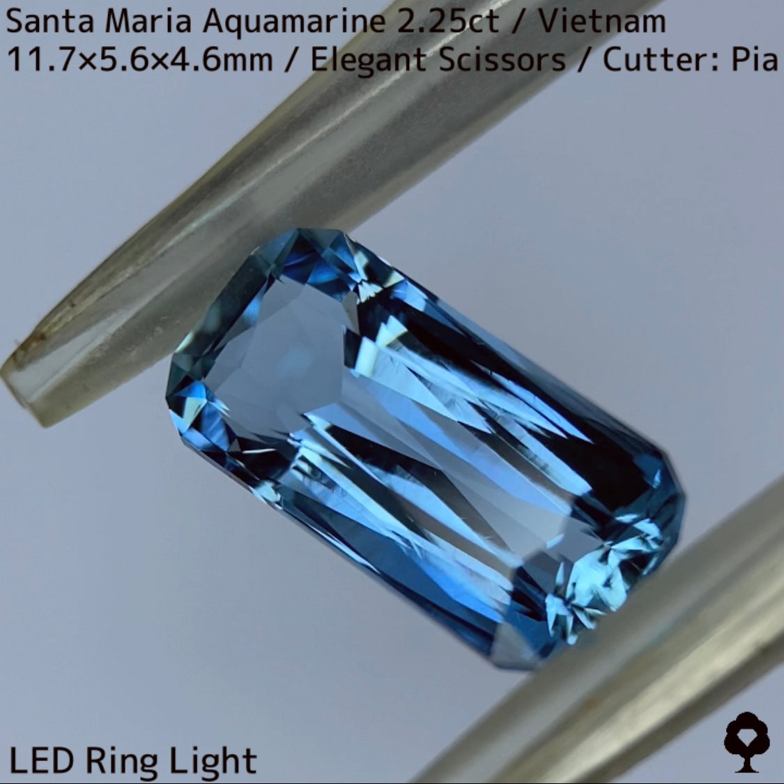 Santa Maria Aquamarine 2.25ct / Vietnam