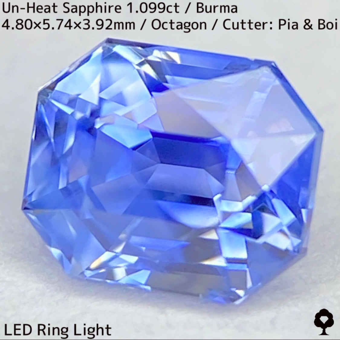 Un-Heat Sapphire 1.099ct / Burma