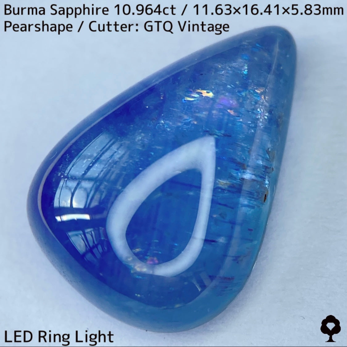 Sapphire 10.964ct / Burma / Cabochon