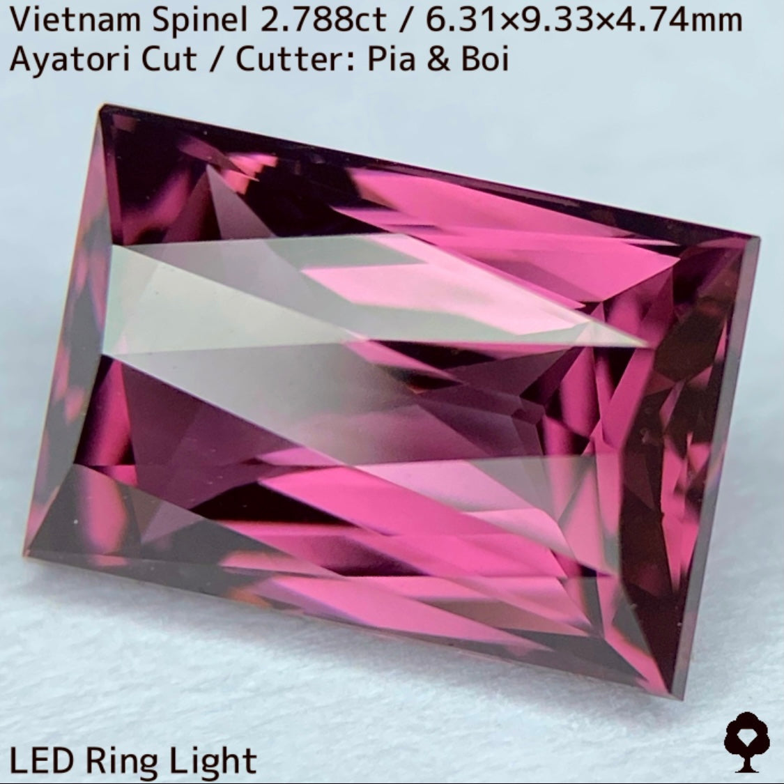 Spinel 2.788ct / Vietnam