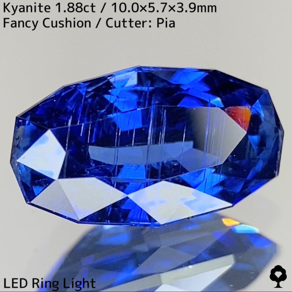 Kyanite 1.88ct / Nepal