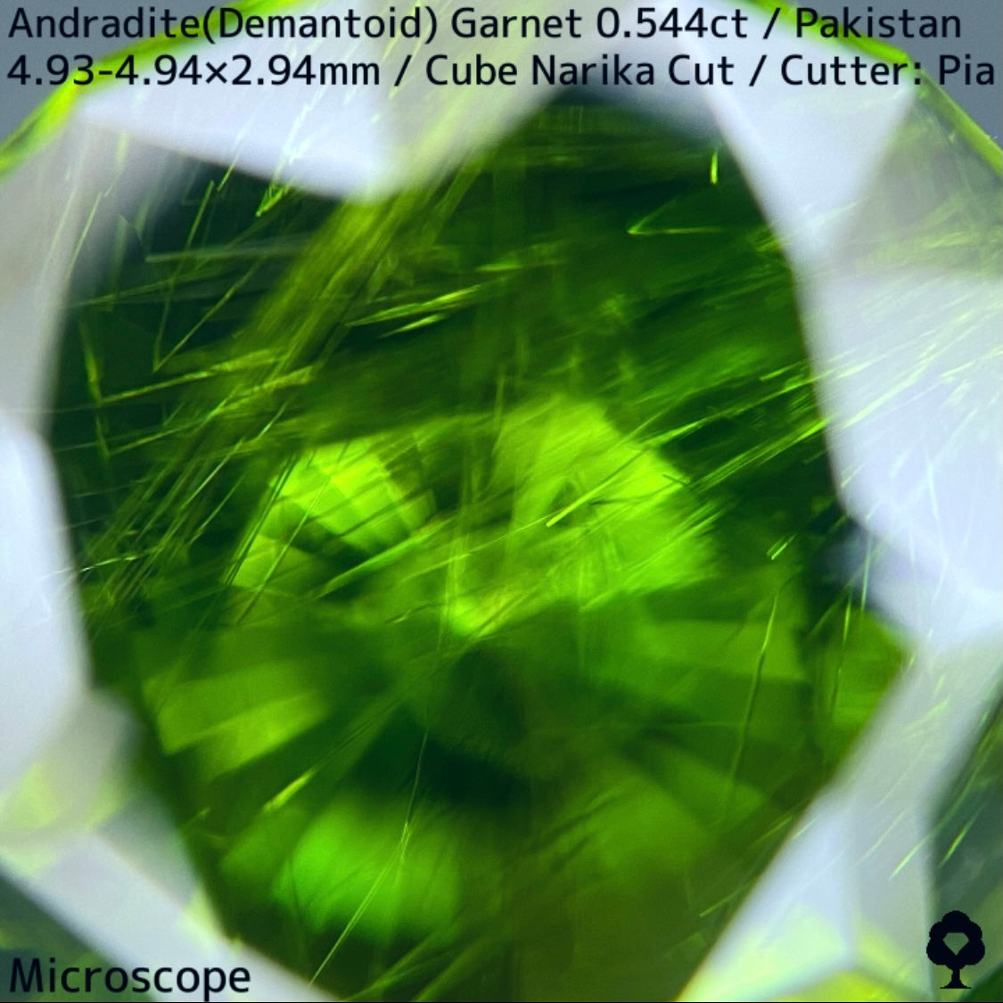 Andradite(Demantoid)0.544ct / Pakistan / Table cube Narika