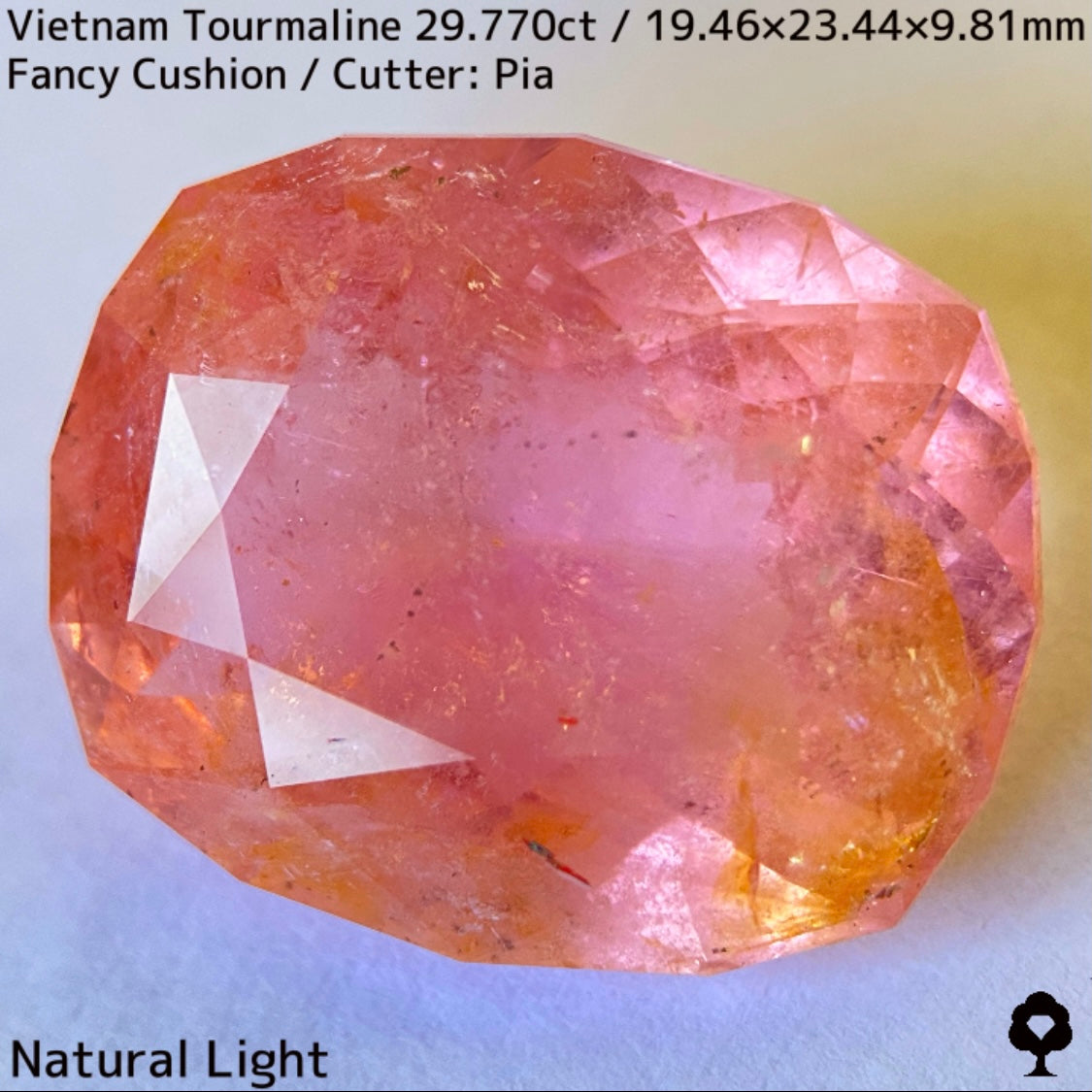 Tourmaline 29.770ct / Vietnam