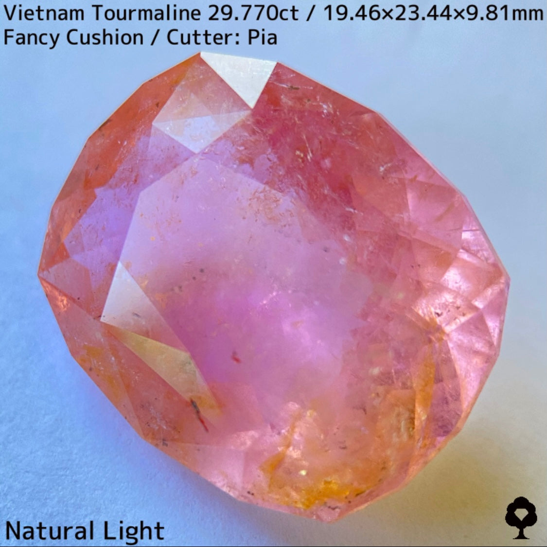 Tourmaline 29.770ct / Vietnam