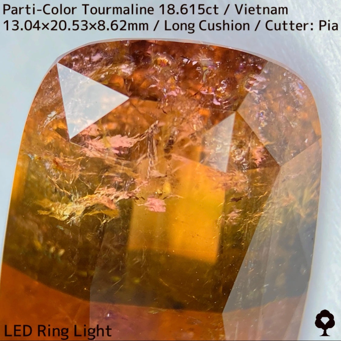 Parti-Color Tourmaline 18.615ct / Vietnam / Long Cushion