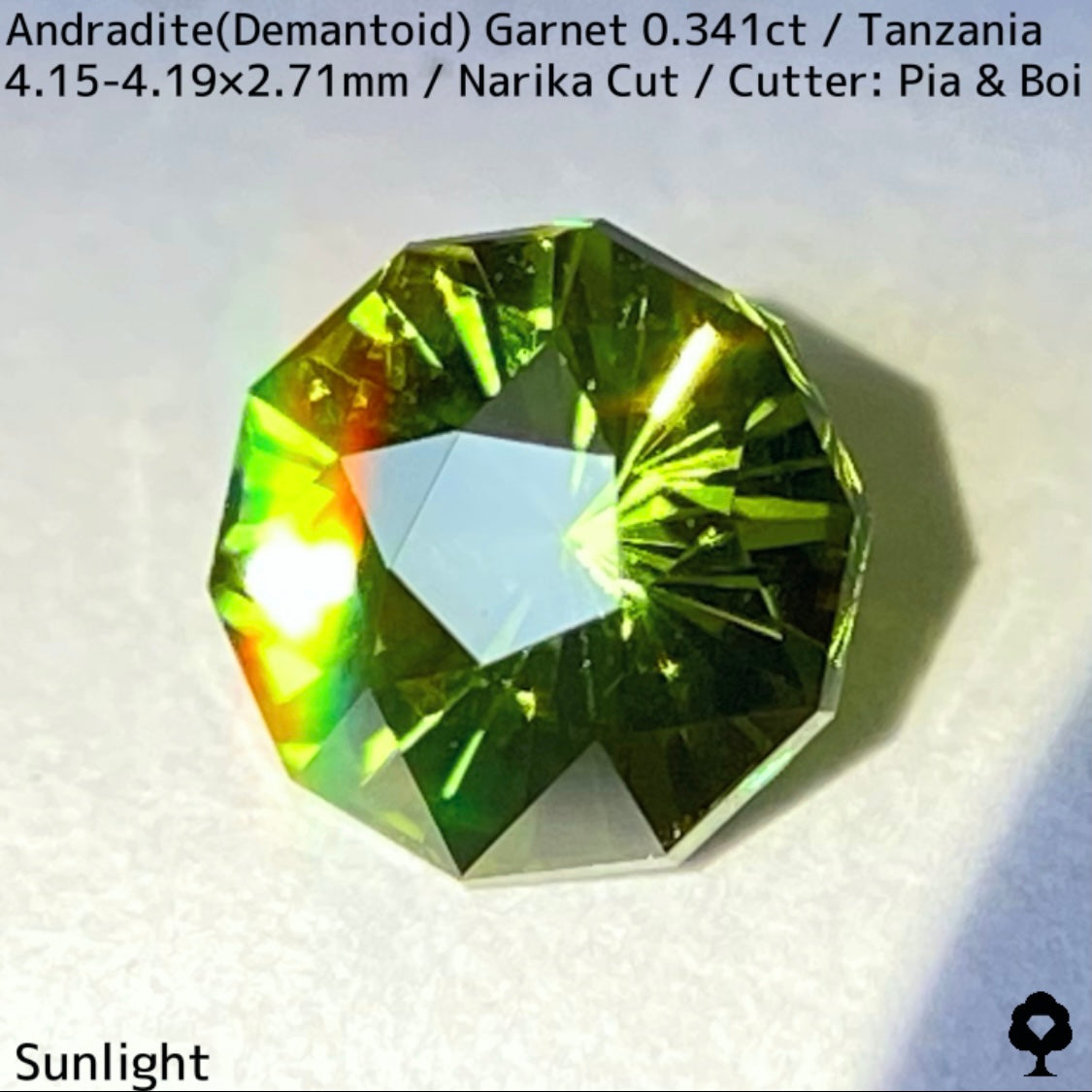 Andoradaite(Demantoid)0.341ct / Tanzania / Narika