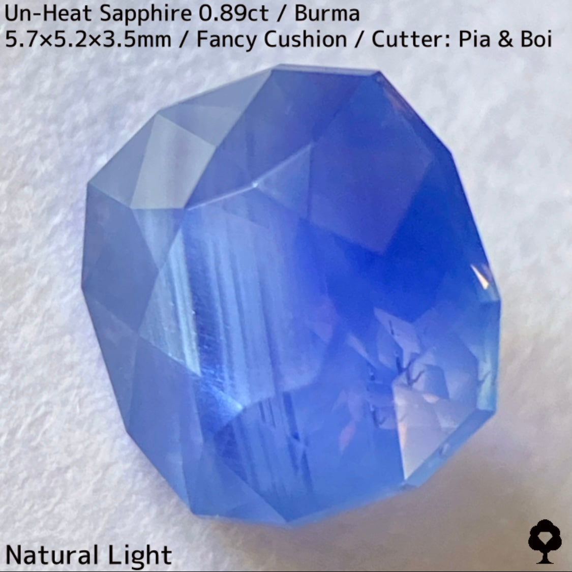 Un-Heat Sapphire 0.896ct / Burma