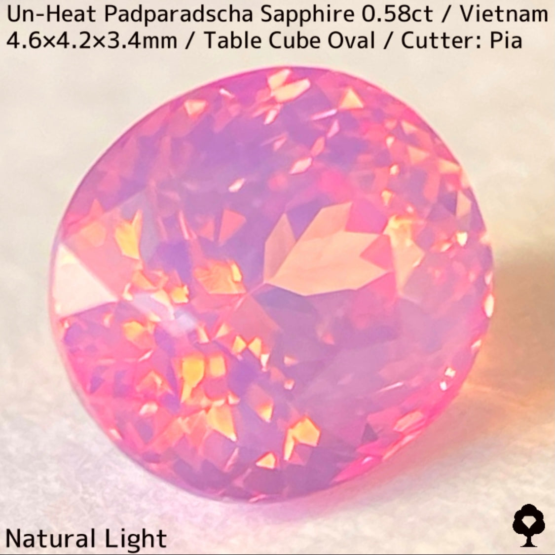 Un-Heat Padparadscha Sapphire 0.58ct / Vietnam