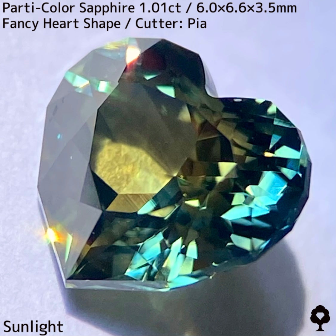 1.01ct Thai parti-colored sapphire ★ A rare fancy heart shape with a party feel that is typical of Bangkacha