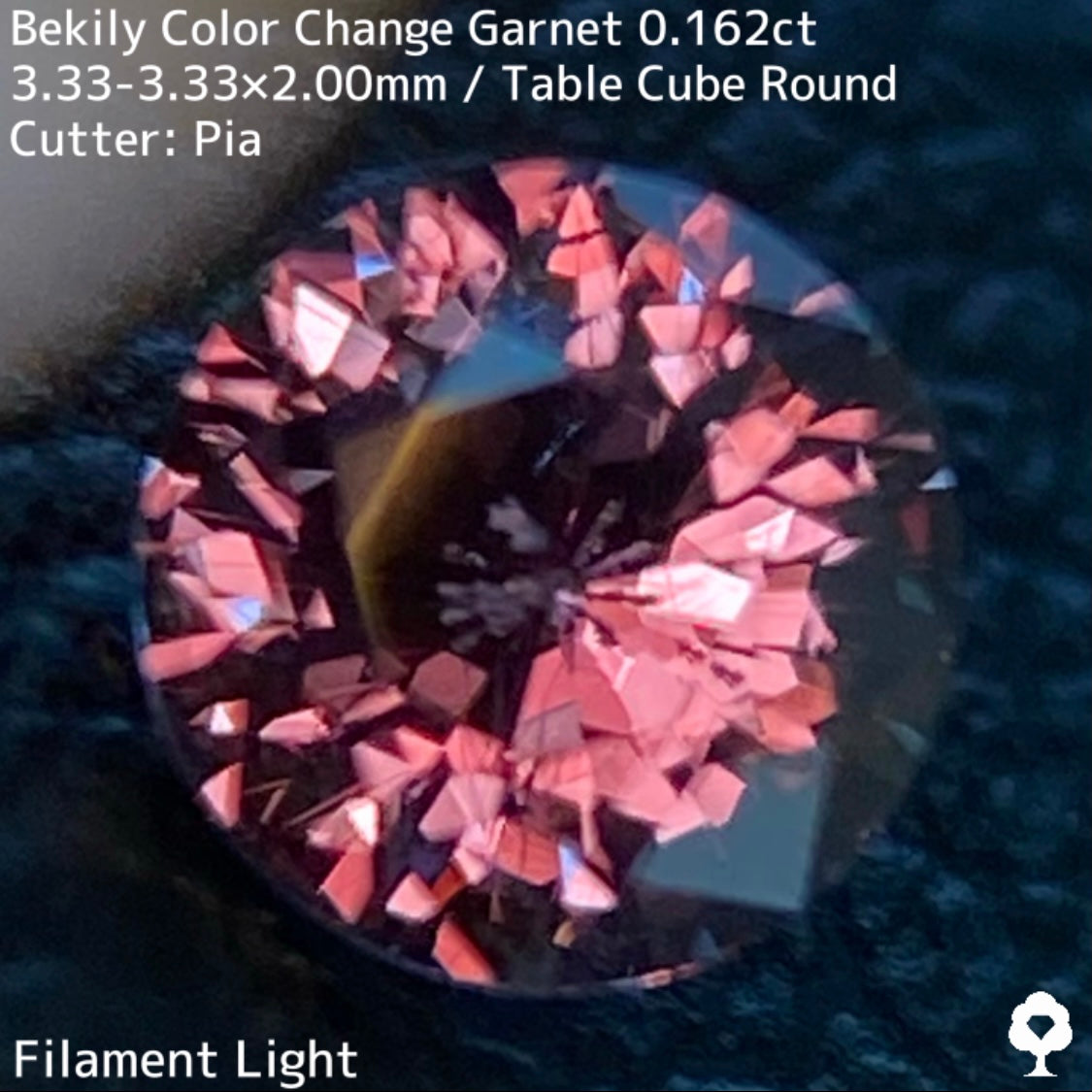Color Change Garnet 0.162ct / Bekily(Madagascar)