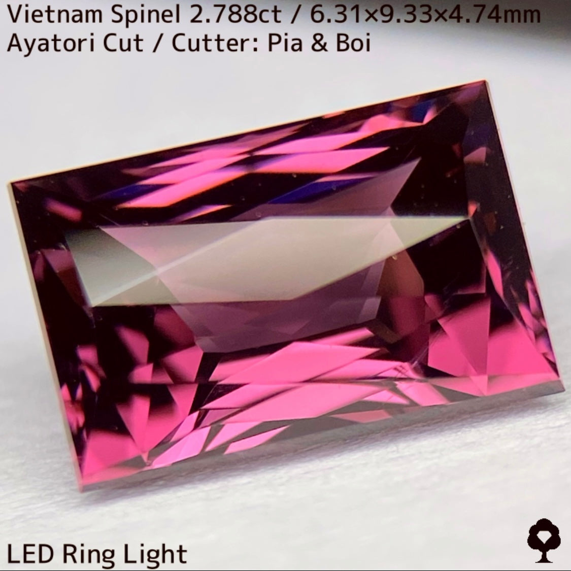 Spinel 2.788ct / Vietnam