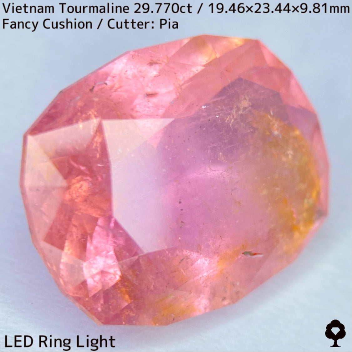 Tourmaline 29.770ct / Vietnam