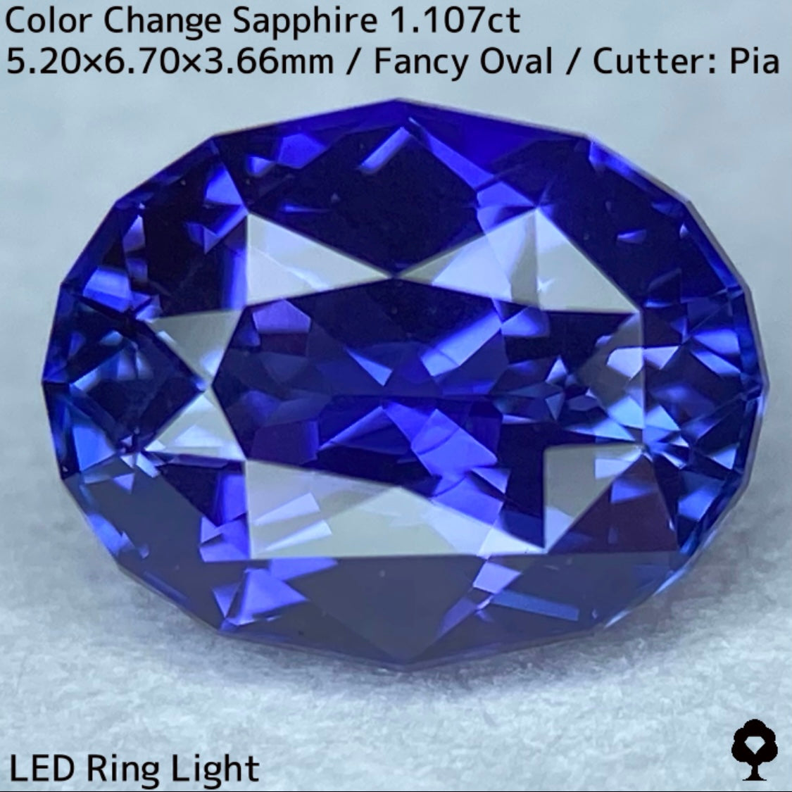 Tanzania color change sapphire 1.107ct ★ Beautiful color change multicolor crystal with a mix of blue, purple, and greenish blue