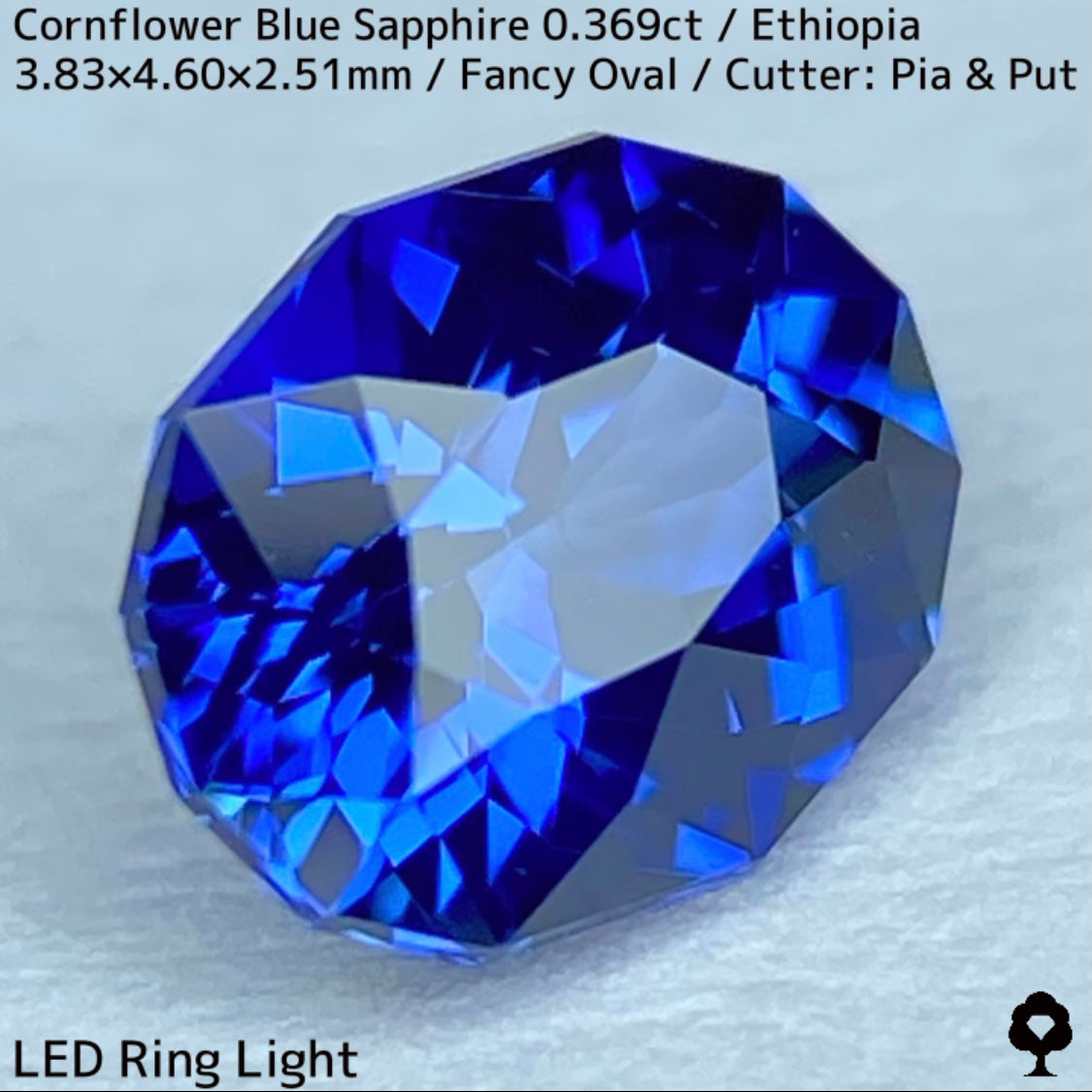 Ethiopian cornflower blue sapphire 0.369ct ★ Vivid and gorgeous, clear, beautiful crystal cut ★ Comes with 0.88ct rough stone