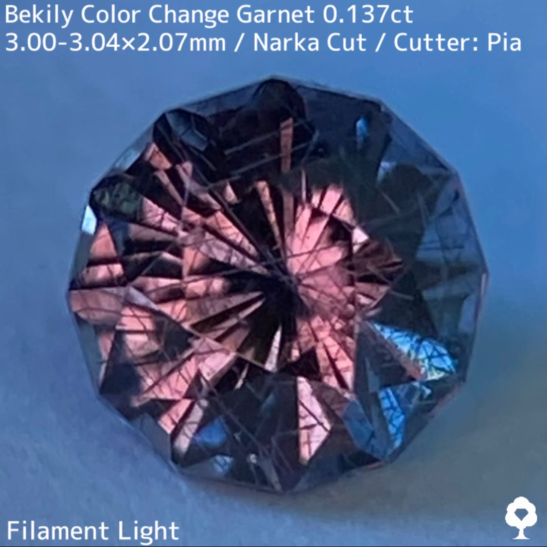 Color Change Garnet 0.137ct / Bekily(Madagascar)