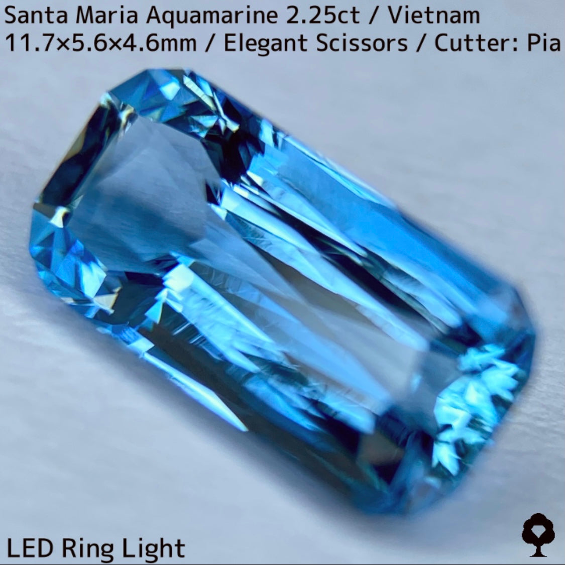 Santa Maria Aquamarine 2.25ct / Vietnam