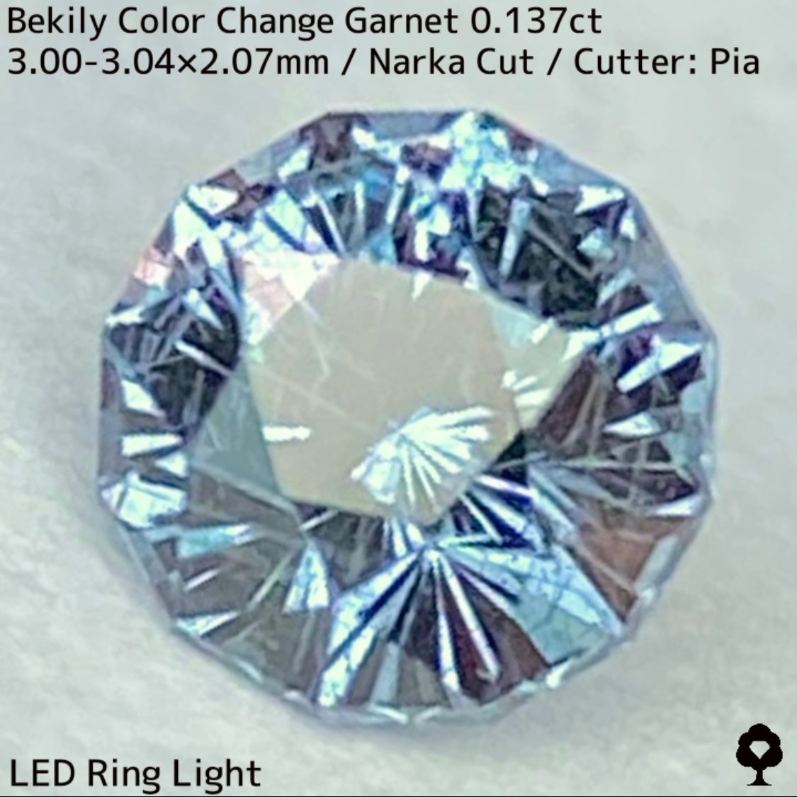 Color Change Garnet 0.137ct / Bekily(Madagascar)